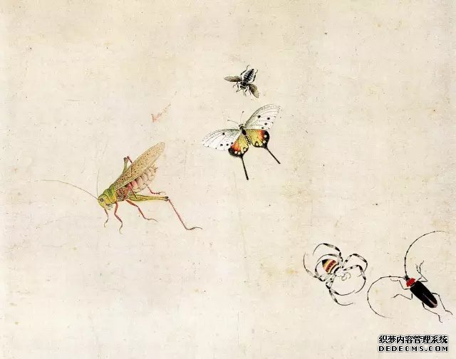 中国画里的“草虫”
