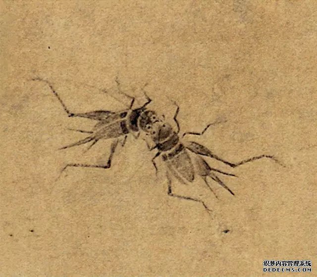 中国画里的“草虫”