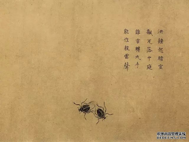中国画里的“草虫”