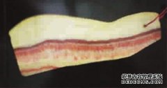 奇石：文房也有田野气