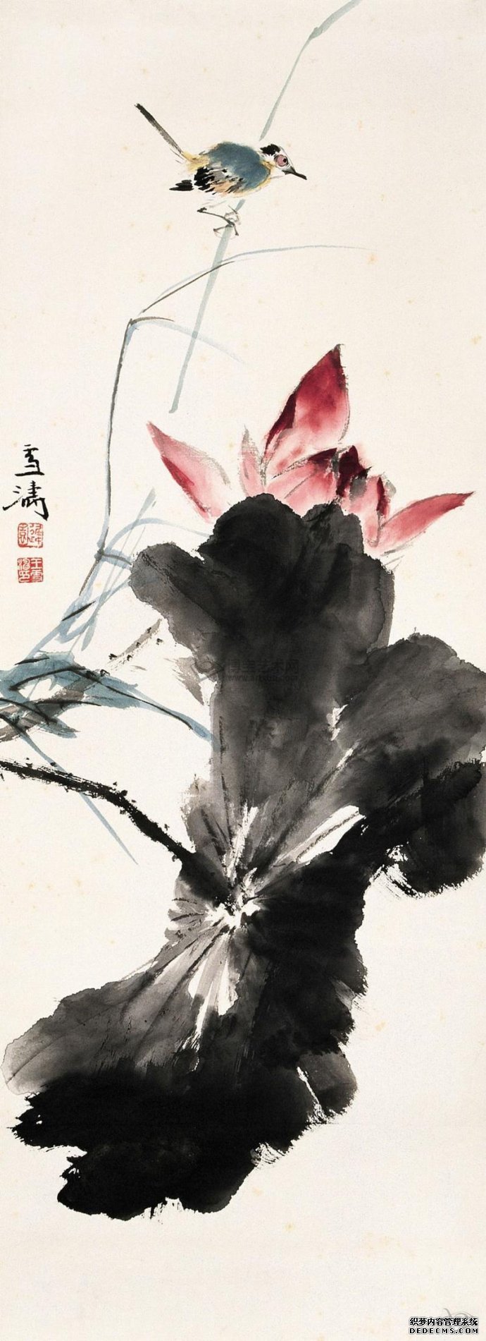 王雪涛花鸟欣赏